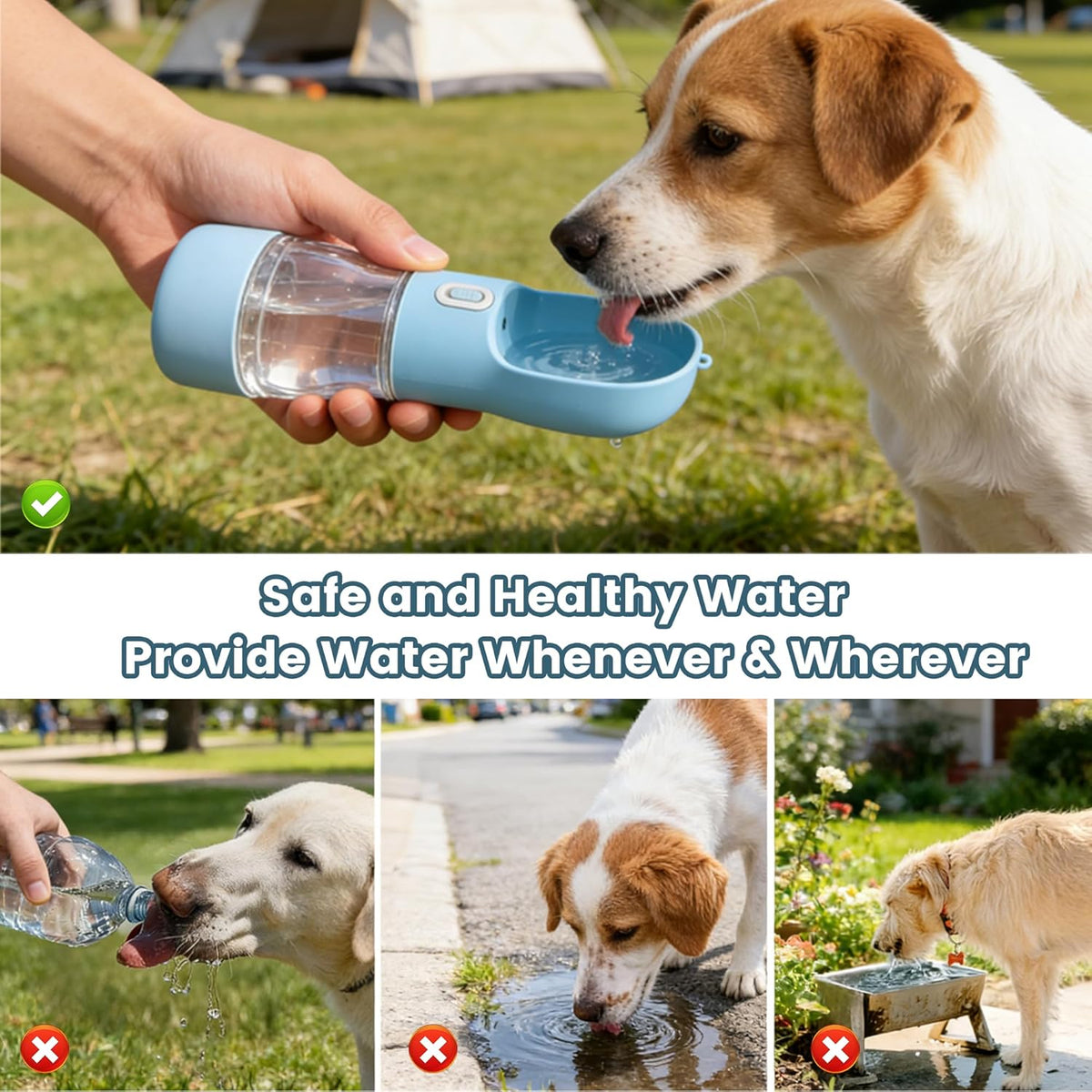 Dishwasher-Safe 2-in-1 Portable Dog Travel Bottle